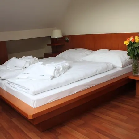 Hotel Popelka 4*